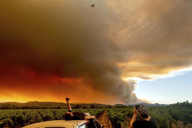 Several dozen wildfires have burned thousands of square kilometres across California