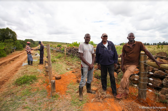 As farmland increases, wildlife and its habitats are being squeezed