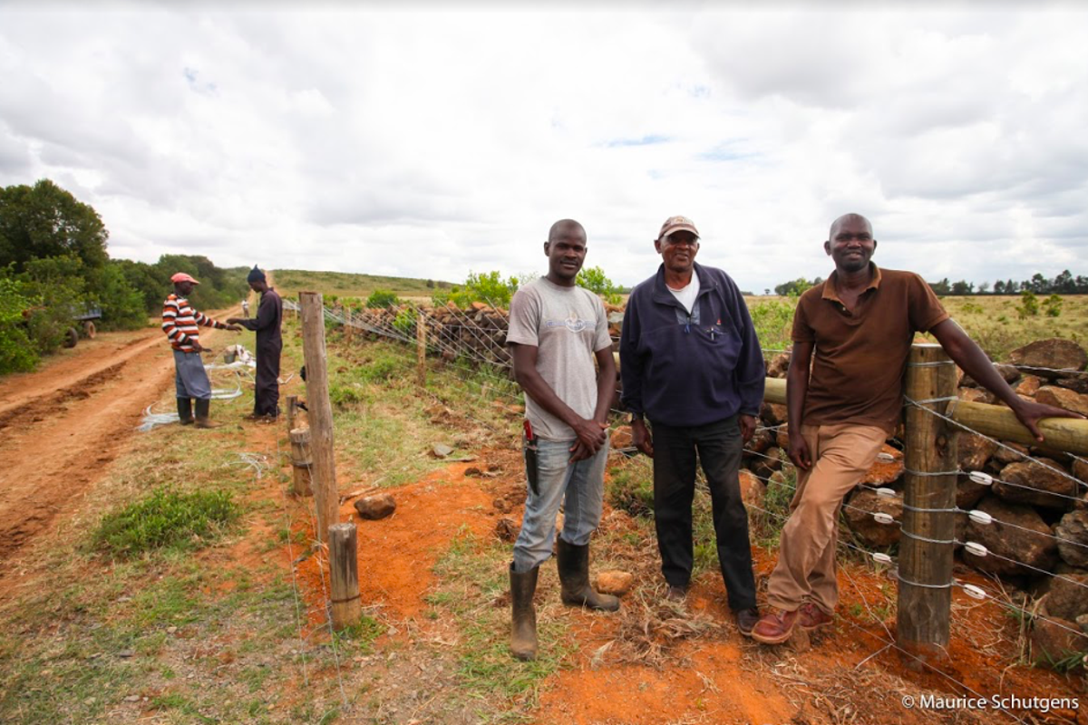 Remote-control gate gives elephants a path to safety | The Independent ...