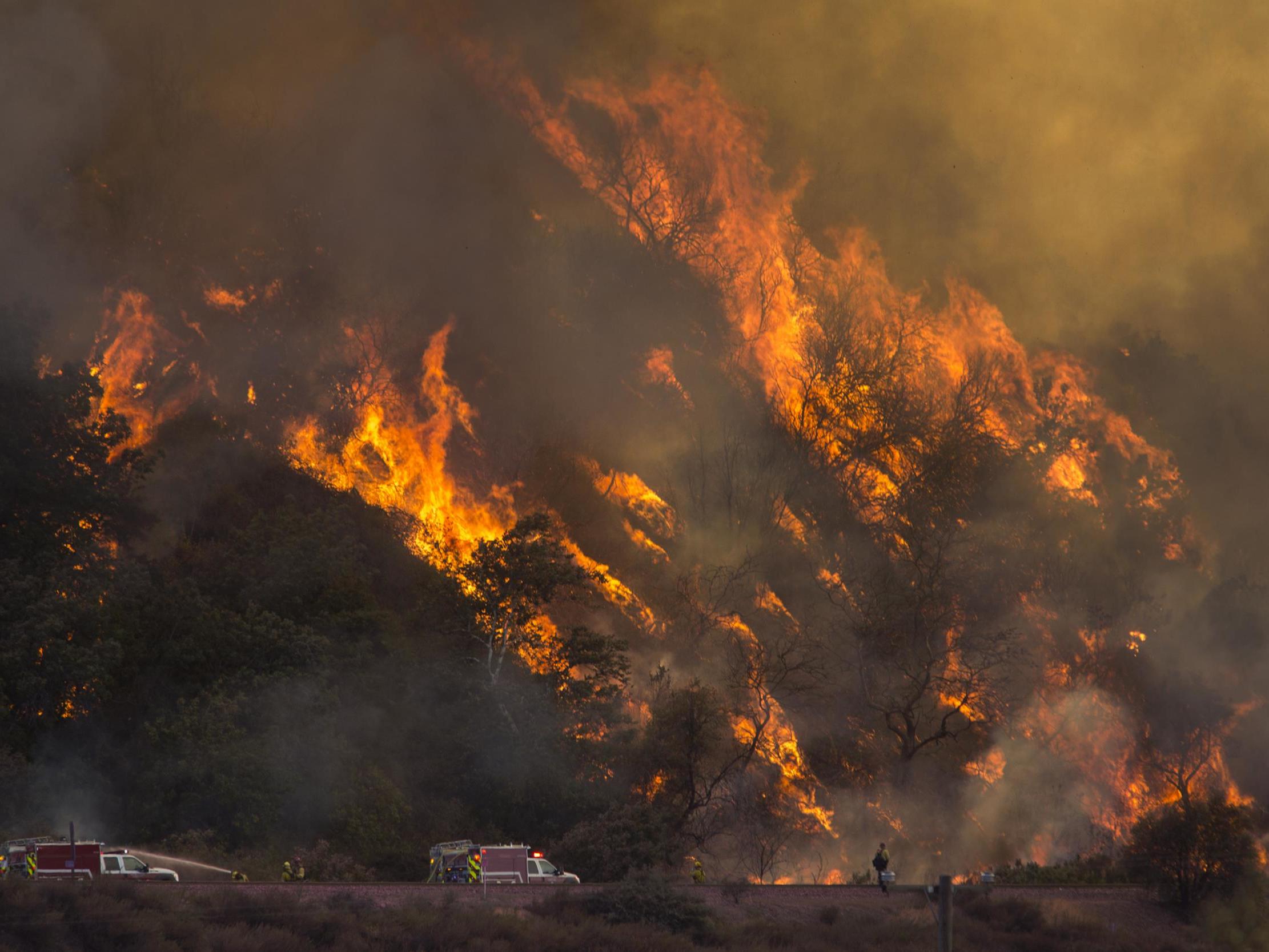 Flames spread up a hillside near firefighters at the Blue Cut Fire near Wrightwood, California