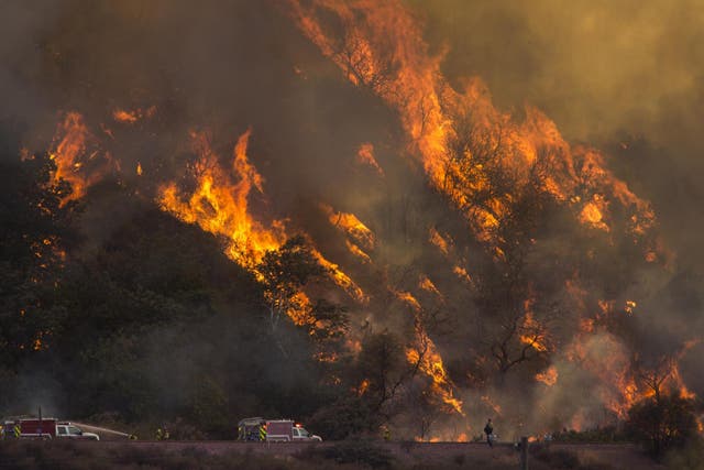 Flames spread up a hillside near firefighters at the Blue Cut Fire near Wrightwood, California