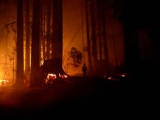 Firefighters tell California residents to stop fighting wildfires