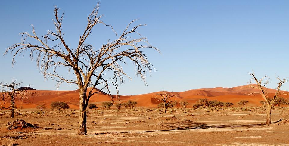 The Kalahari desert stretches through Botswana and Namibia