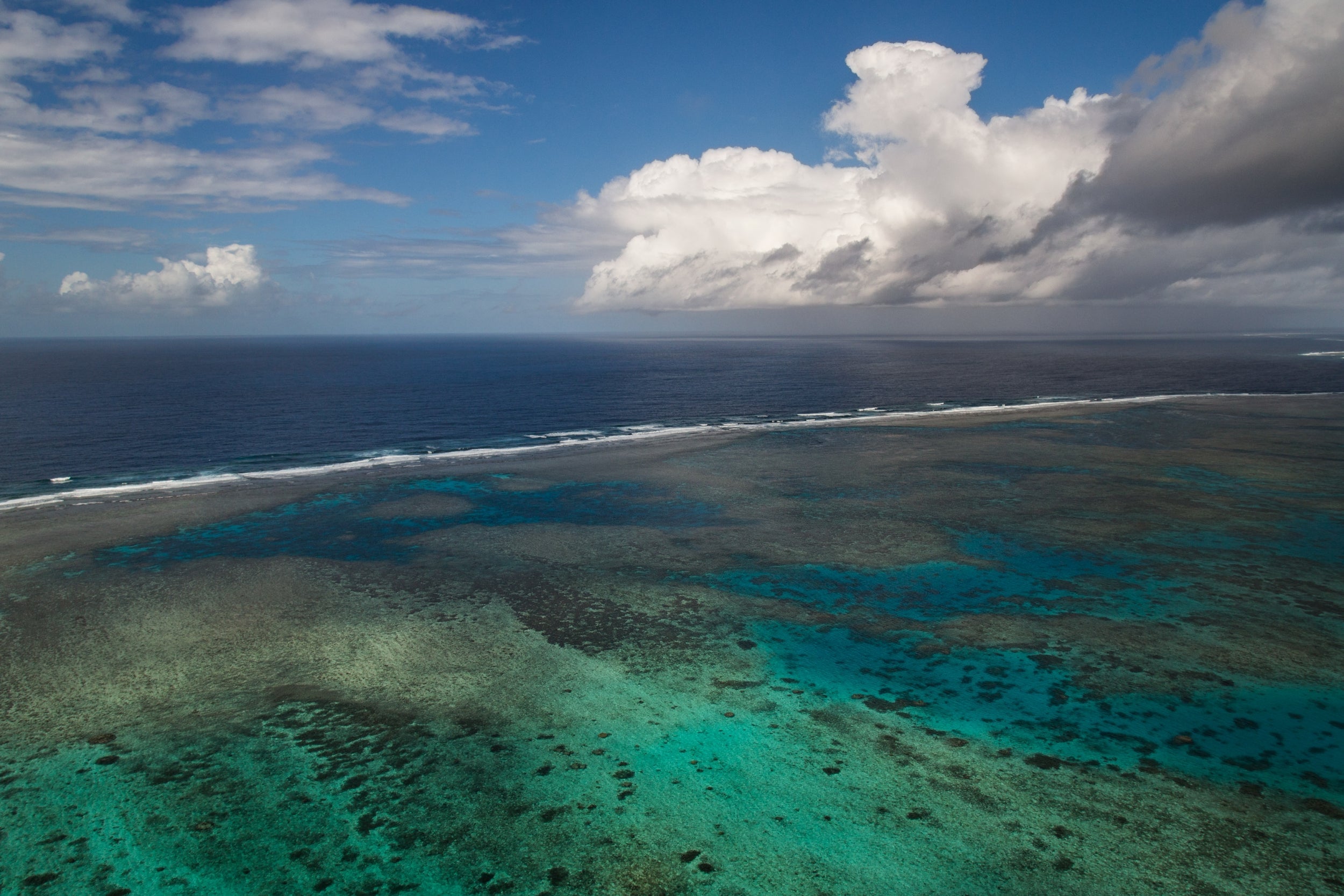 The Great Barrier Reef has suffered from a lack of tourists