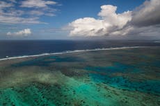 A lonely Great Barrier Reef is suffering a double hit