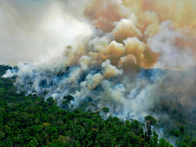 Aerial view of a burning area of Amazon rainforest reserve in Para state, Brazil, on August 16, 2020