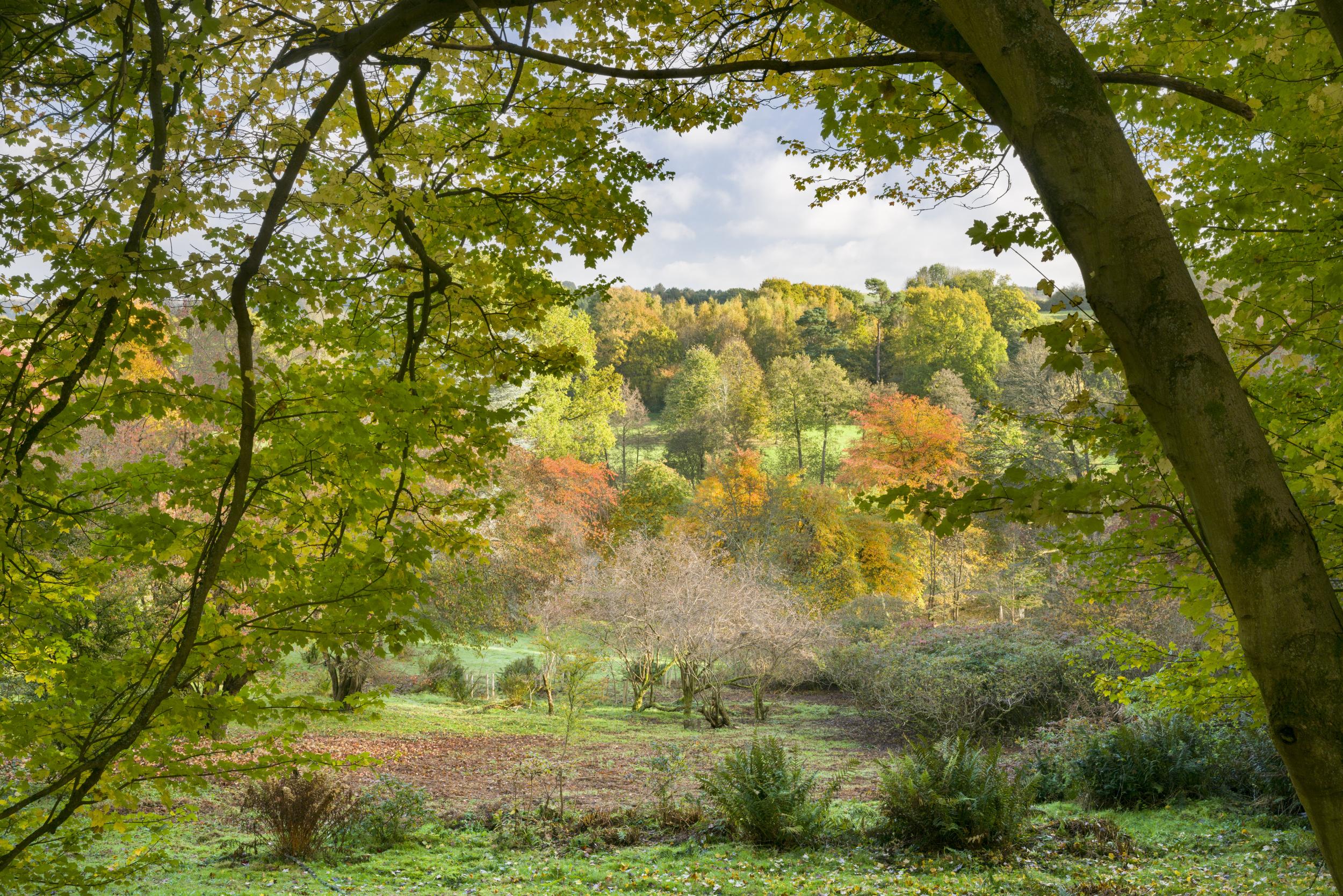 Winkworth Arboretum is beautiful come autumn