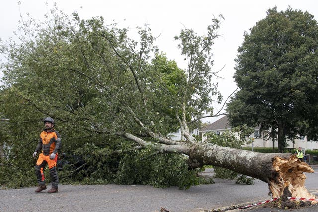 Extreme winds of Storm Francis left much debris across parts of the country