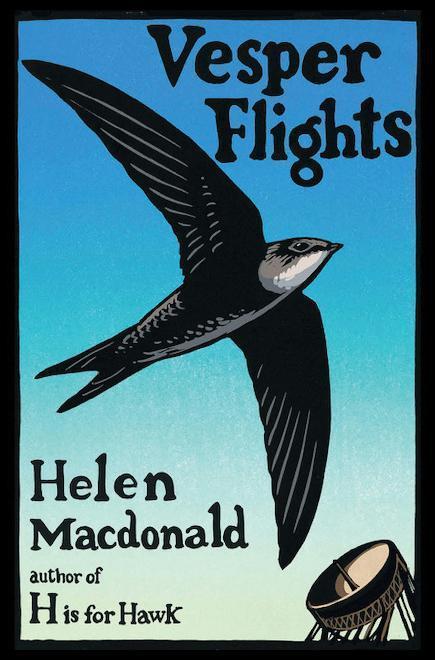 Helen’s new book is a collection of 41 essays