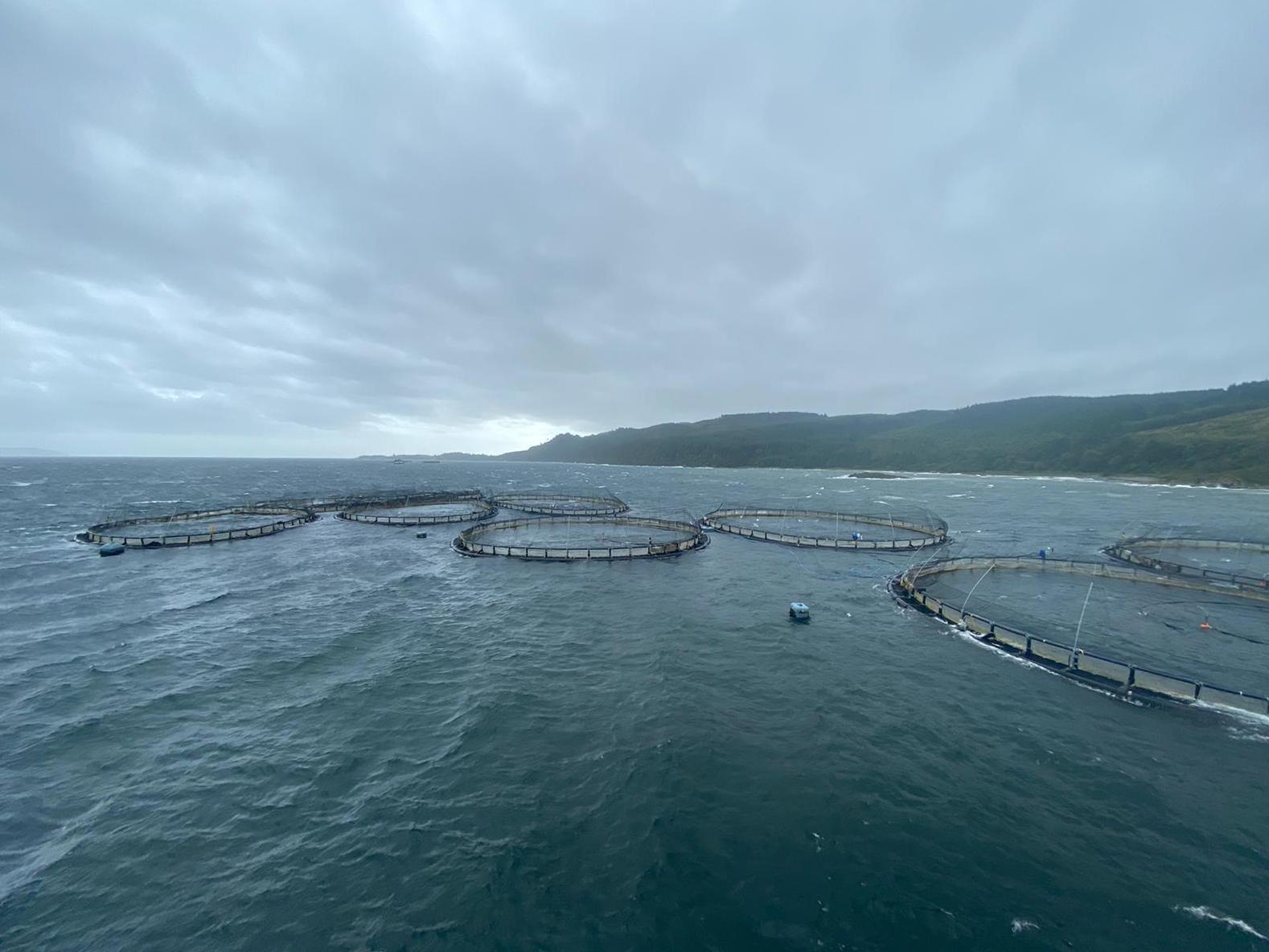 North Carradale fish farm near Campbeltown, west Scotland