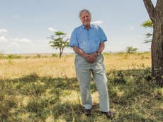 Go vegetarian to save wildlife and the planet, Sir David Attenborough urges