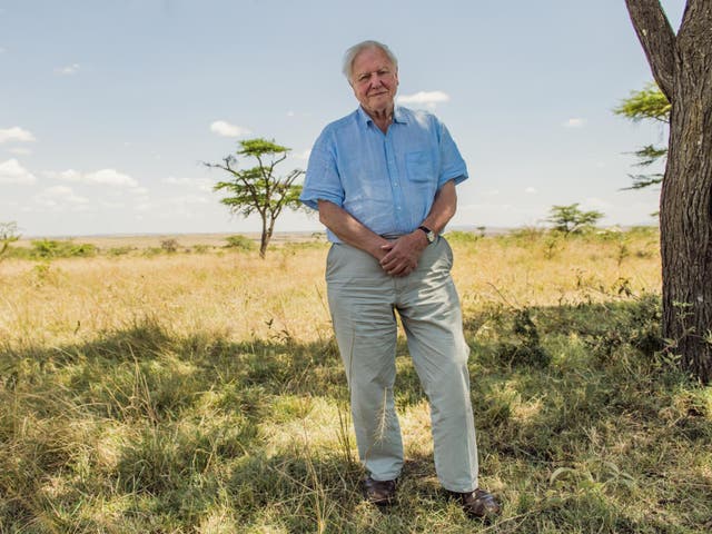 Sir David in the Maasai Mara, Kenya, while filming the documentary in which he says the planet is heading for disaster