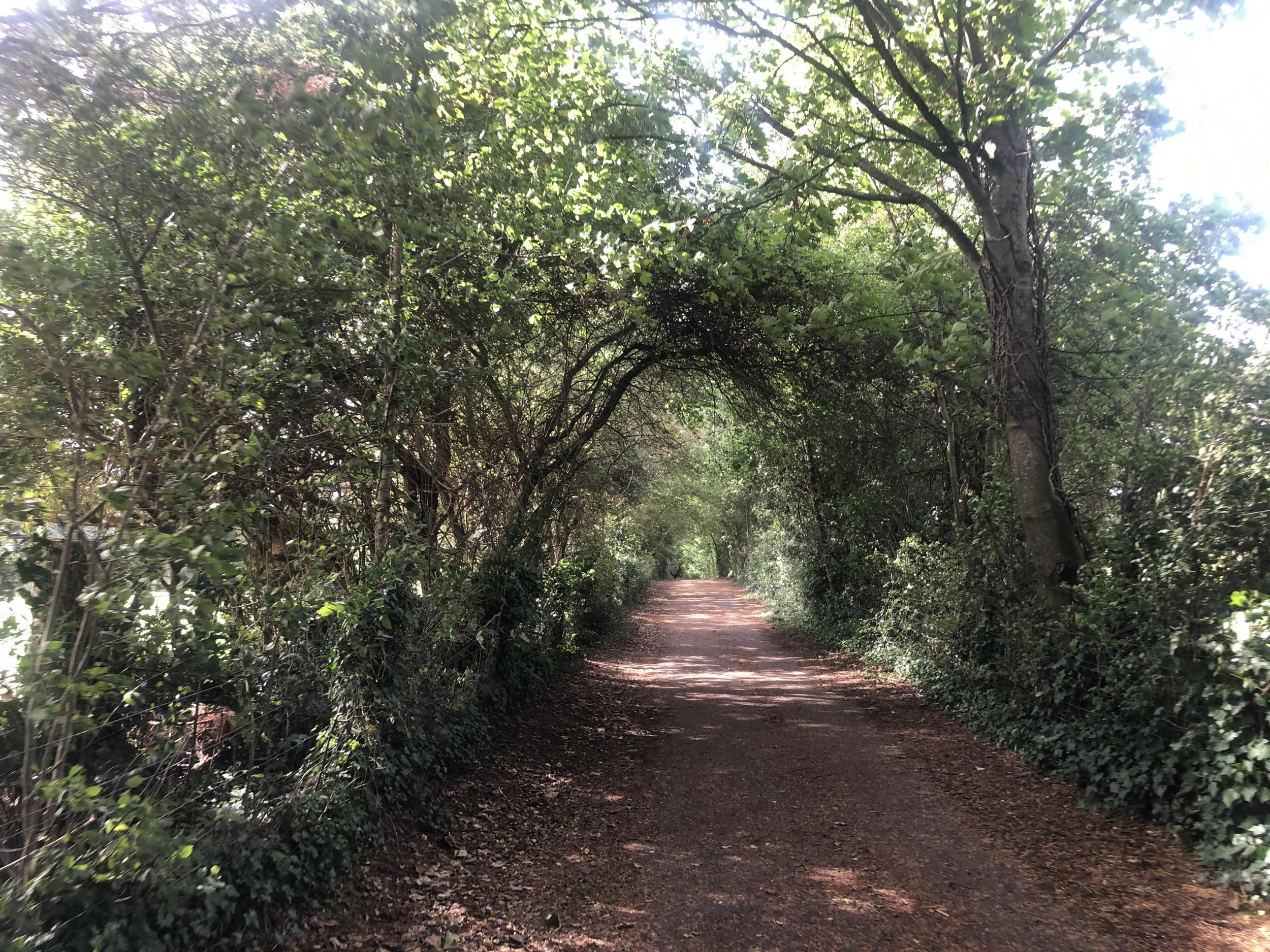 Green way: the Isle of Wight Coastal Path
