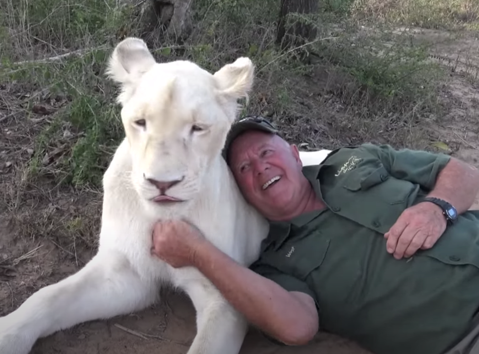 Man who kept two lionesses captive at safari lodge mauled 