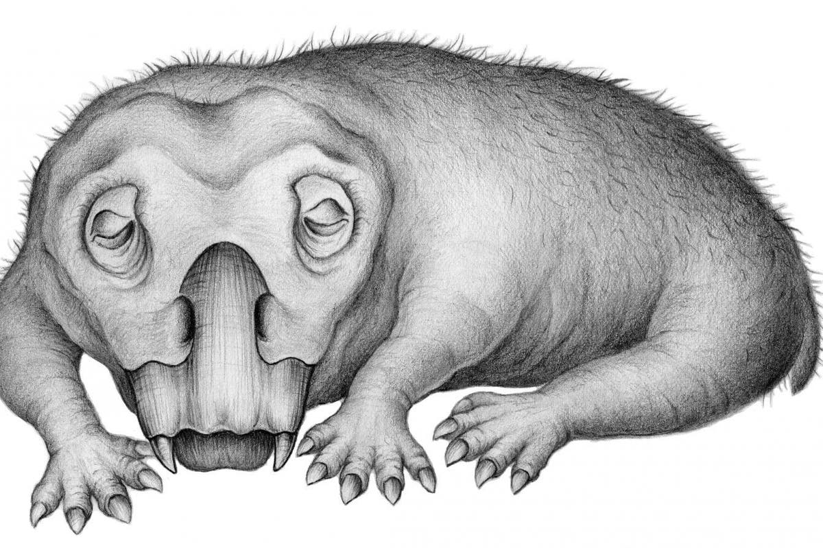 Bizarre tusked creature that lived in Antarctica 250 million years ago