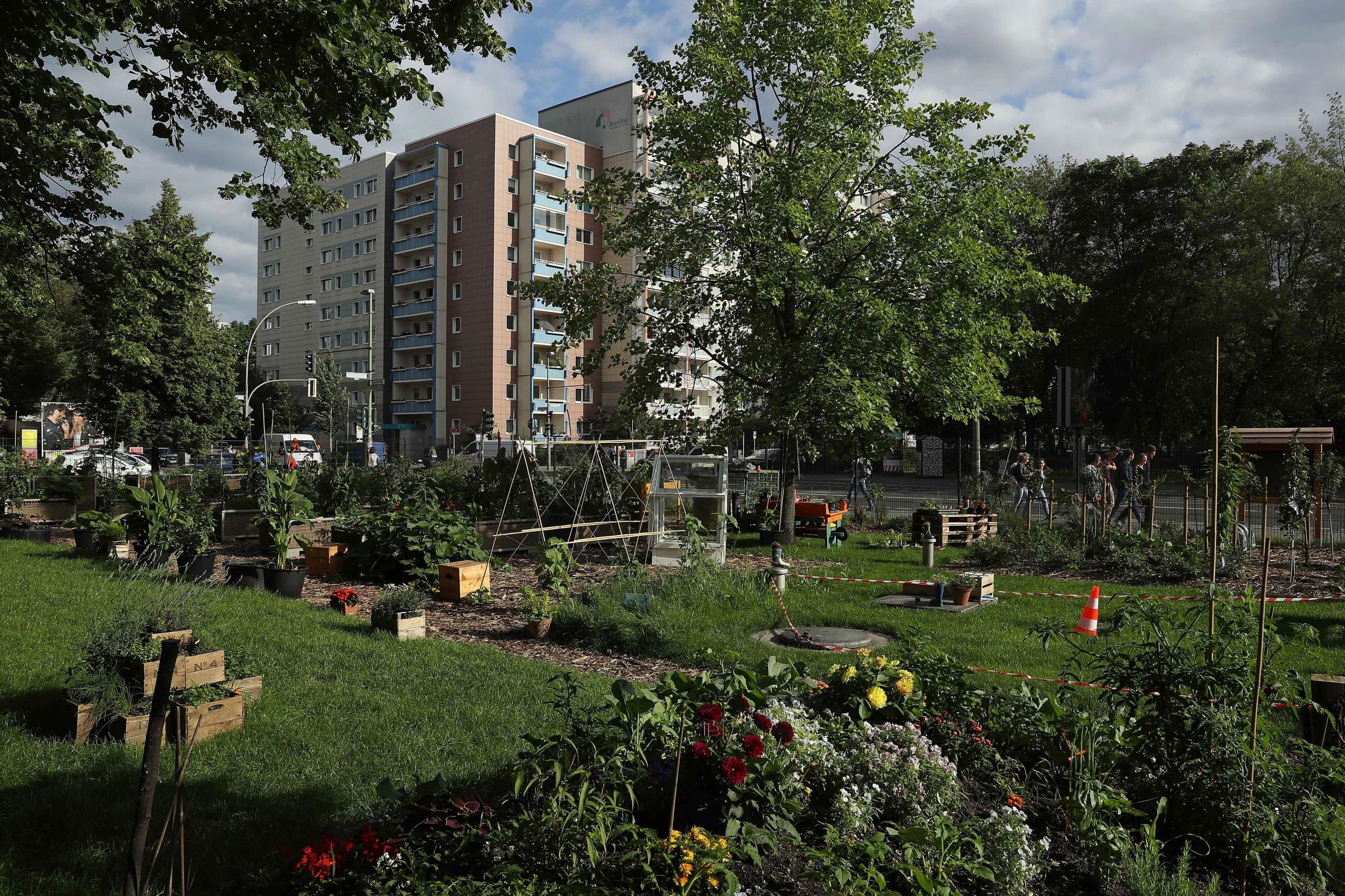 Researchers say making streets and neighbourhoods greener could reduce heart disease over time