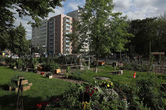 <p>Researchers say making streets and neighbourhoods greener could reduce heart disease over time</p>