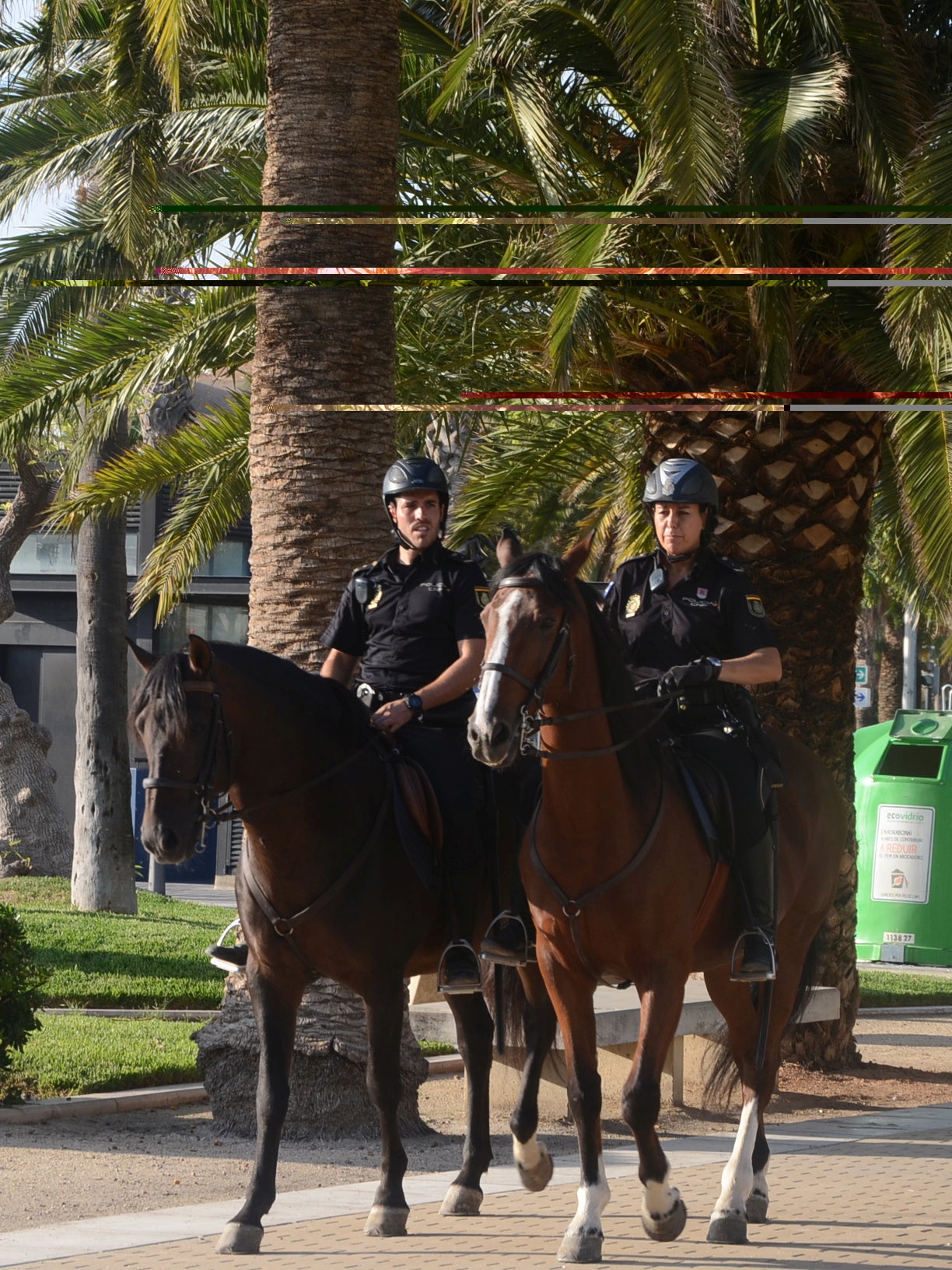 Police officers on horseback keep a look out