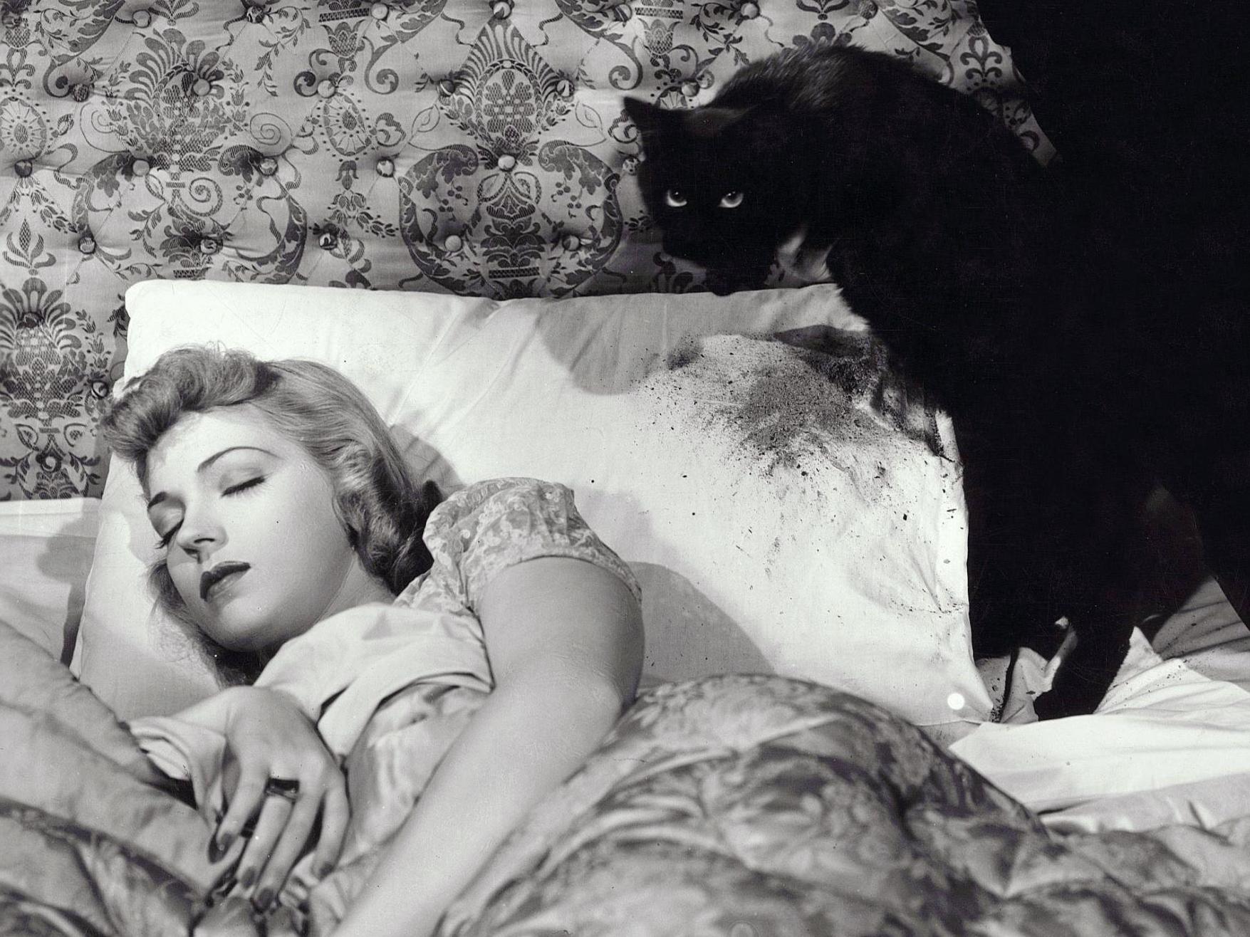 Anne Gwynne, Chris Pine’s grandmother, in 1941’s ‘The Black Cat’