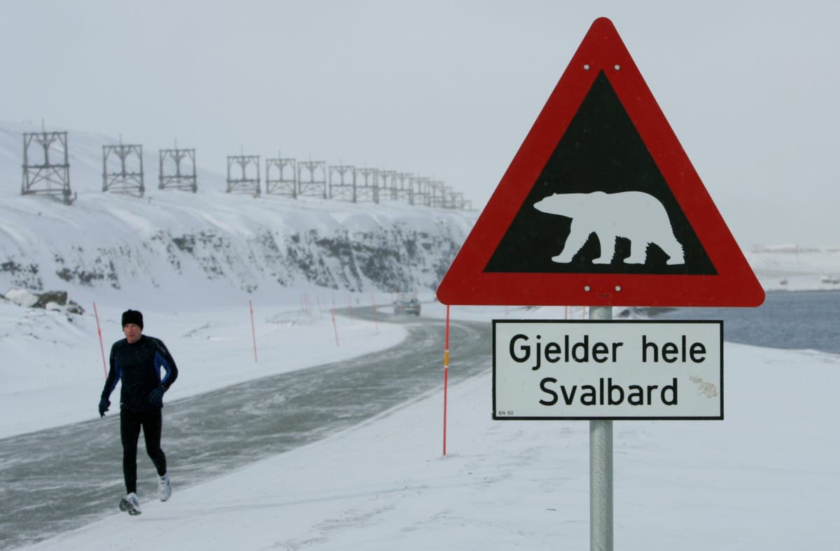 Polar bear kills man camping on remote Norwegian island