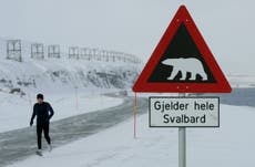 Polar bear kills man on remote island