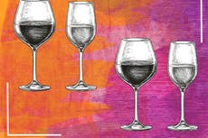 8 best wine glasses for enjoying red, white or rosé