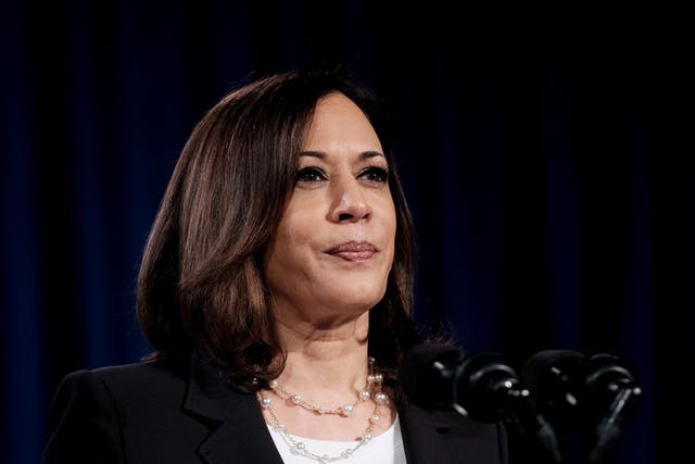 Democratic vice presidential candidate Kamala Harris spoke out on disparities in police violence numbers by race. (Photo by Michael A. McCoy/Getty Images)