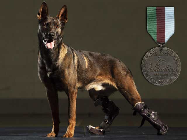 Kuno was wounded saving the lives of British soldiers in action