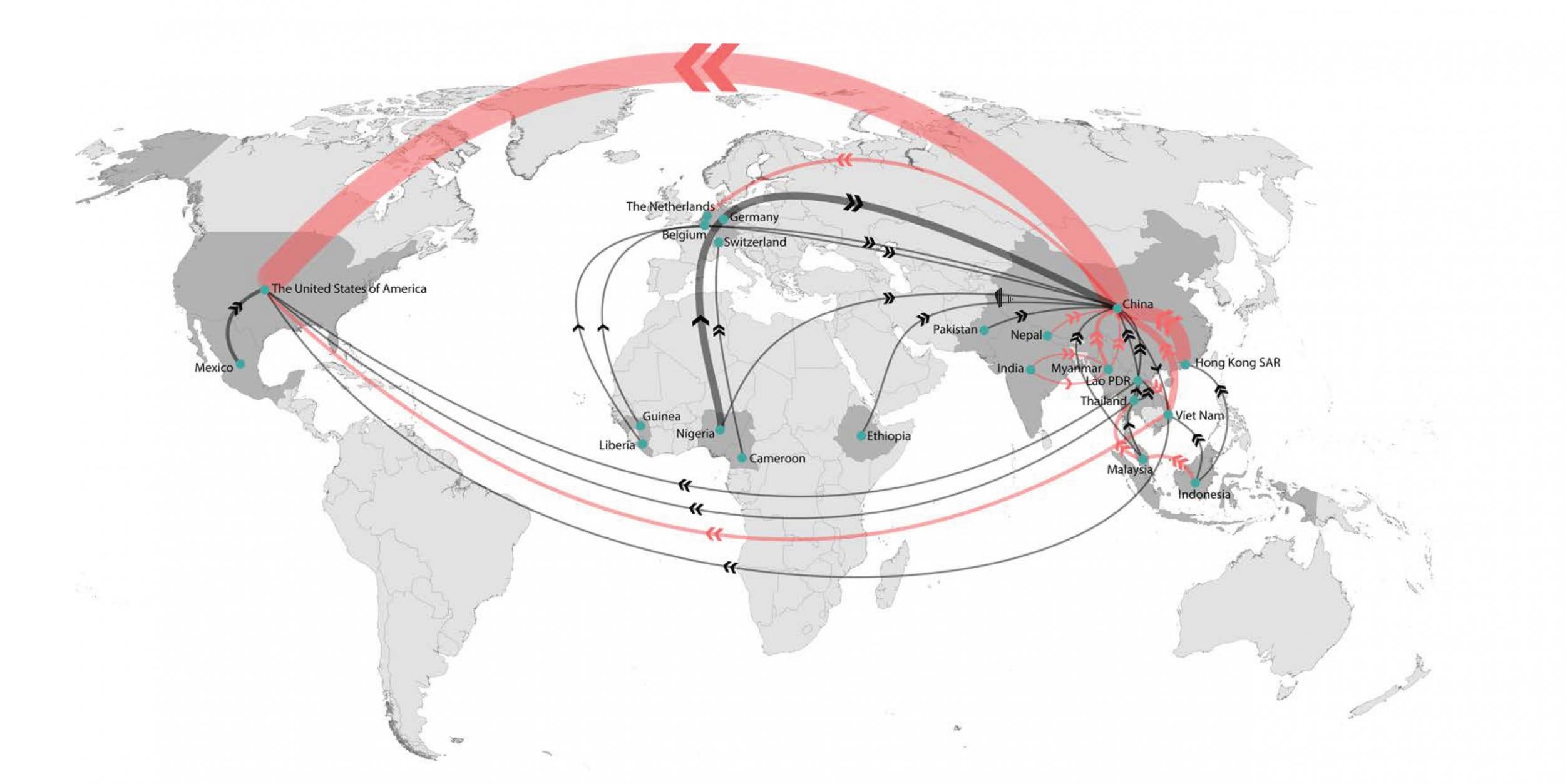 The top 29 trade routes that have been used five times or more in international pangolin trafficking incidents between 2010 and 2015 (n = 539). The directional arrows (edges) are weighted by the normalised total number of incidents occurring along each unique trade route. The 12 trade routes that have also been used in five or six consecutive years are displayed in red. Single arrow heads (&gt;) indicate a transit edge in a trade route, and double arrow heads (&gt;&gt;) indicate the last edge in the trade route. Note: The start and end points of a trade route have been approximately centralised per country/territory and do not indicate a specific location within it a country. (Copyright: Traffic)
