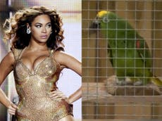 Lincolnshire parrot stuns wildlife park visitors by singing Beyoncé’s ‘If I Were a Boy’