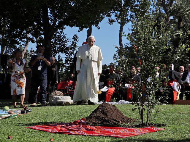 Pope Francis walks towards a newly-planted oak tree during a tree-planting ceremony on the occasion of the feast of St Francis of Assisi, the patron saint of ecology, at the Vatican last October