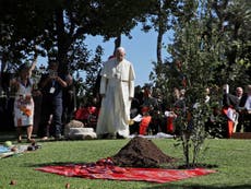 'Let the planet rest': Pope Francis calls for sustainable living and cancelling poor nations' debt amid climate crisis