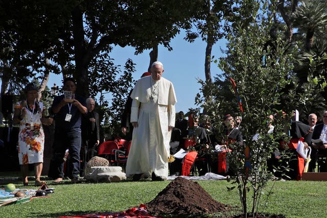 Pope Francis walks towards a newly-planted oak tree during a tree-planting ceremony on the occasion of the feast of St Francis of Assisi, the patron saint of ecology, at the Vatican last October
