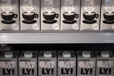 Oatly accused of ‘selling its soul’: why people are boycotting the vegan milk brand