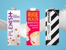 Oatly Blackstone investment: Try these new milk alternatives instead