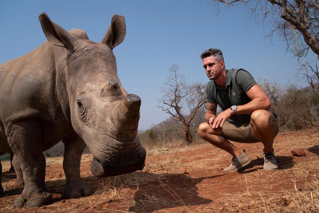 Former England cricket captain Kevin Pietersen is helping to save rhinos