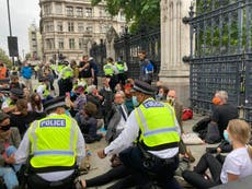 Extinction Rebellion activists glue themselves to ground outside parliament