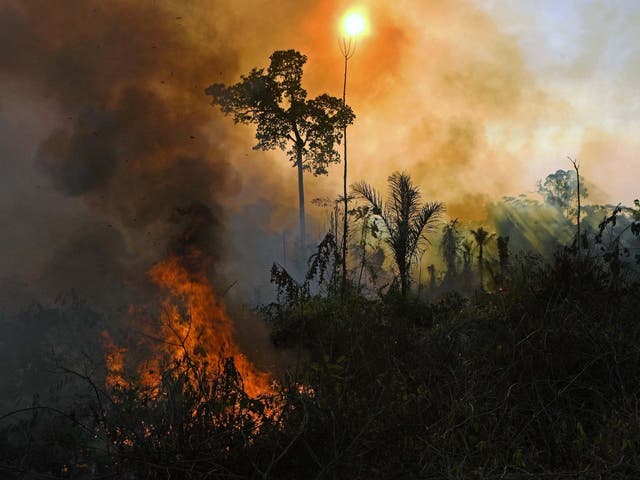 Smoke and flames rise from a fire in the Amazon rainforest reserve, south of Novo Progresso in Para state, Brazil on 15 August, 2020