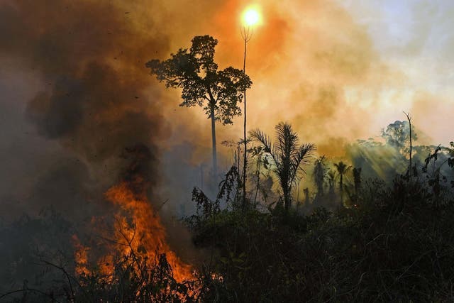 Smoke and flames rise from a fire in the Amazon rainforest reserve, south of Novo Progresso in Para state, Brazil on 15 August, 2020