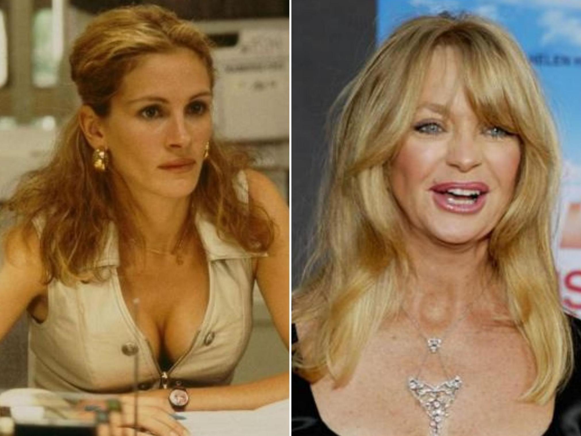 Erin Brockovich originally wanted Goldie Hawn in the role famously