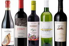 Organic September: The wines to know about