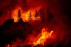 New energy study misses some of the realties of the climate crisis