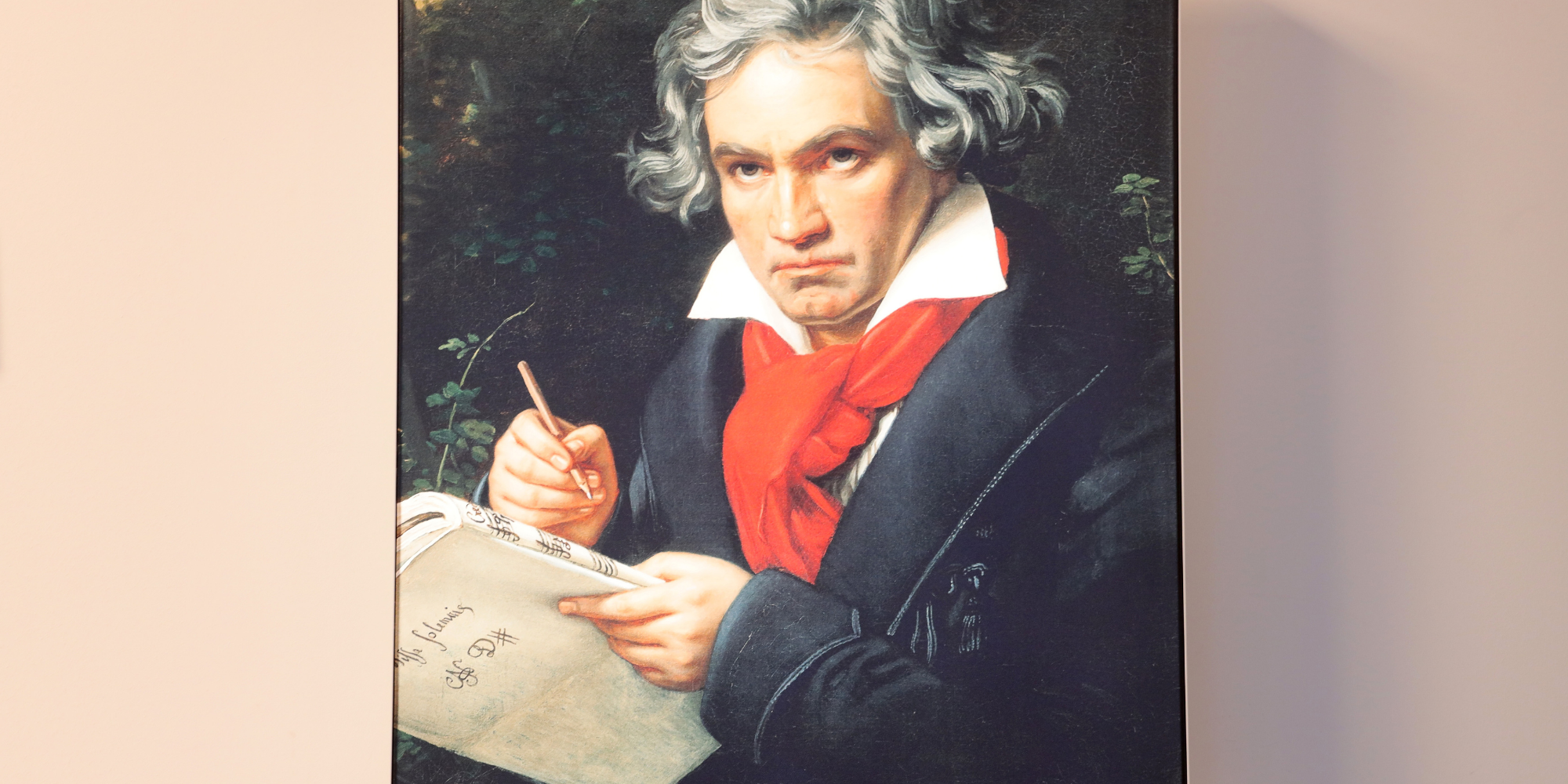 Beethoven: Debates emerge over elitism in classical music | indy100