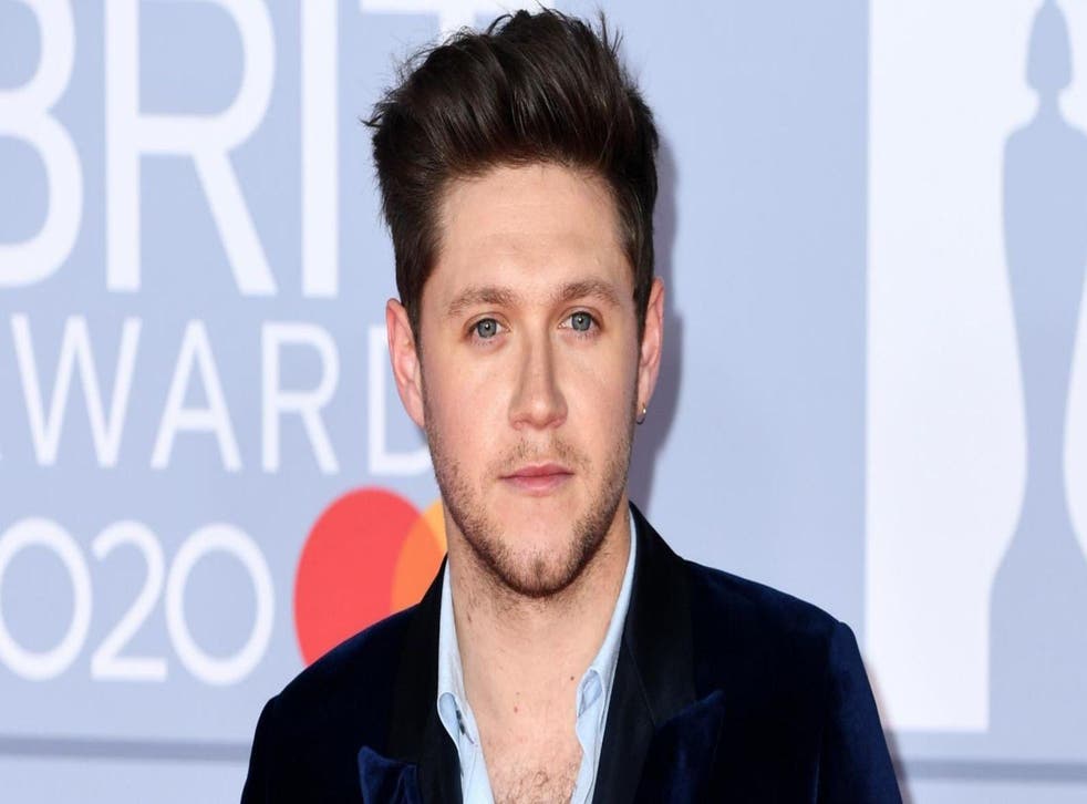 Niall Horan criticises UK government for its ‘frustrating’ lack of ...