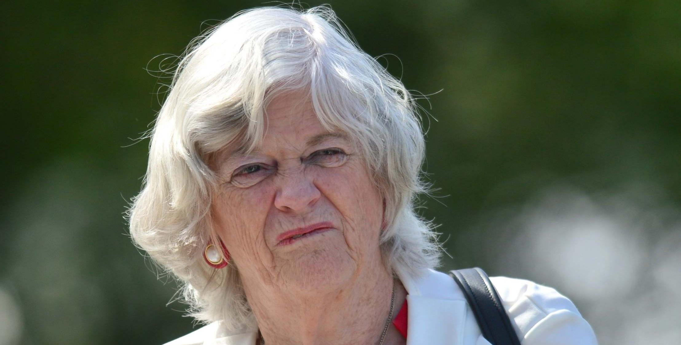 Ann Widdecombe Sparks Outrage Over ‘repulsive Remarks About Strictlys Same Gender Couple