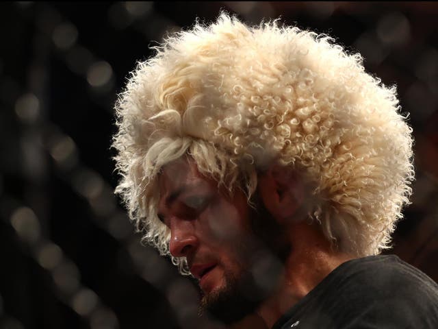 <p>Khabib Nurmagomedov retired unbeaten as UFC lightweight champion in 2020 </p>