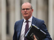 Brexit trade deal could be suspended if Boris Johnson triggers Article 16, Ireland warns
