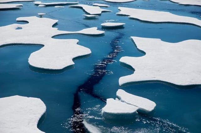 <p>Sea ice is melting at an alarming rate</p>