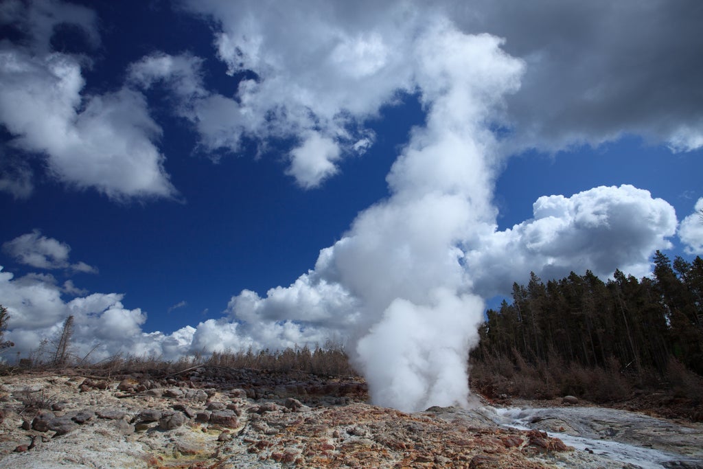 Tourist who walked into Yellowstone Geyser path is jailed for a week