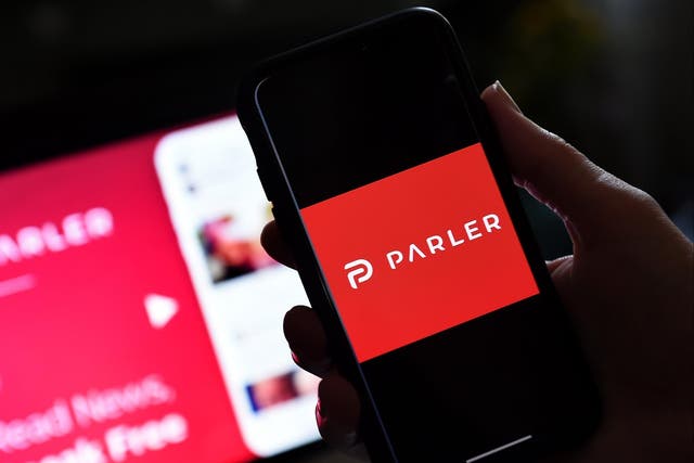 <p>Parler accidentally doxxes VIPs after sending out message containing their email addresses </p>